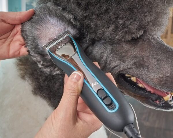 Maquina para cortar pelo de perro Oster A6 Slim 3 velocidades - Imagen 5