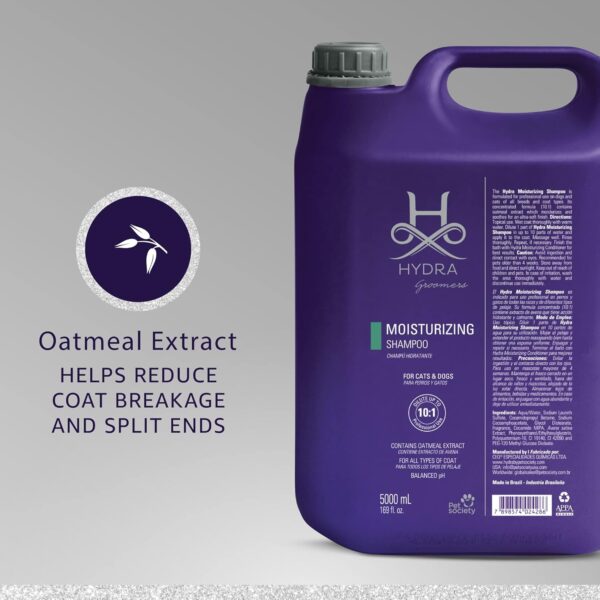 shampoo moist