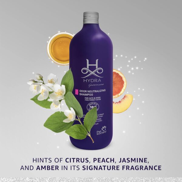 shampoo odor