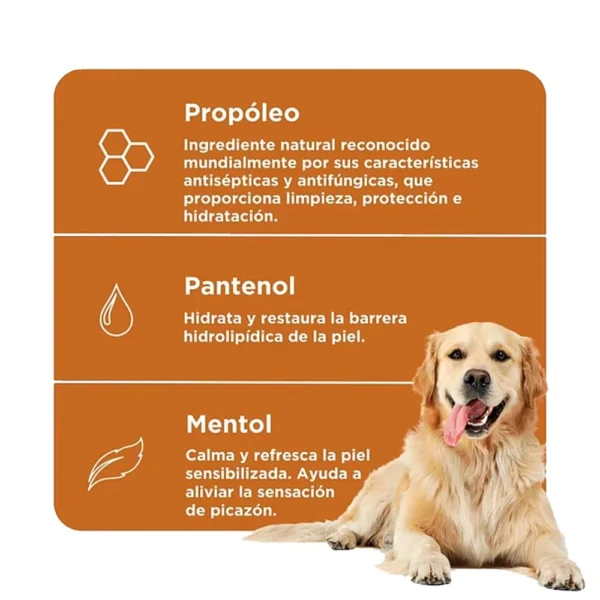 shampoo pro calm