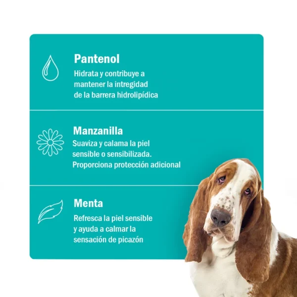 limpiador otico para perros
