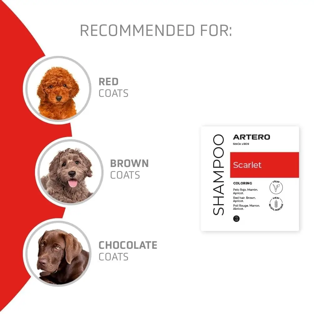 shampoo artero pelo rojo