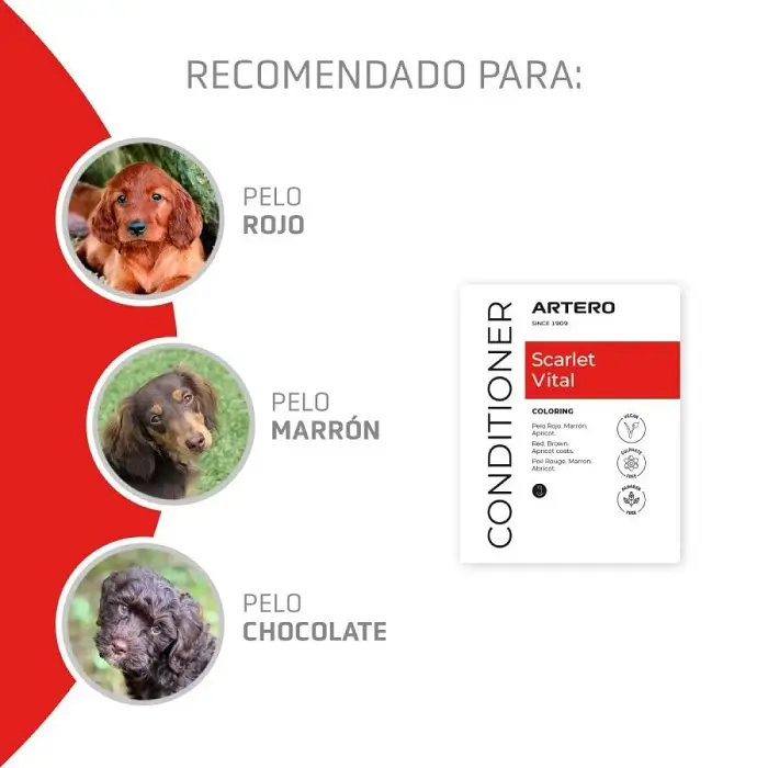Acondicionador para perros Artero Scarlet Vital 100ml - Imagen 3
